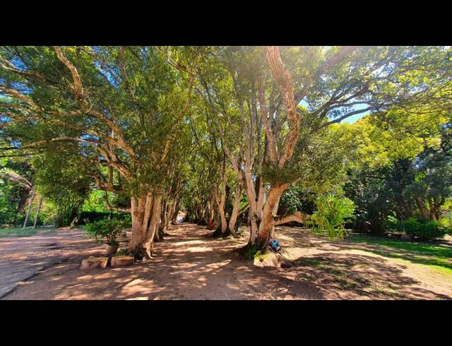 FARM FOR SALE IN COMPENSATION BEACH